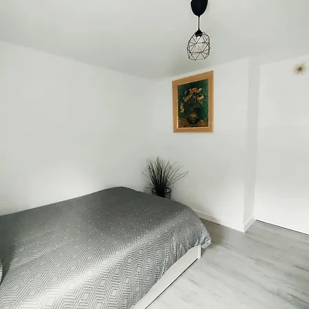 Apartment Nouvel Appart Spacieux, Confortable Avec Parking *
